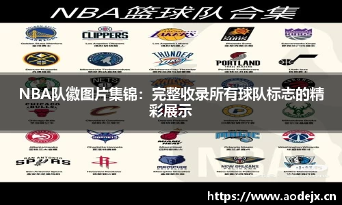 NBA队徽图片集锦：完整收录所有球队标志的精彩展示